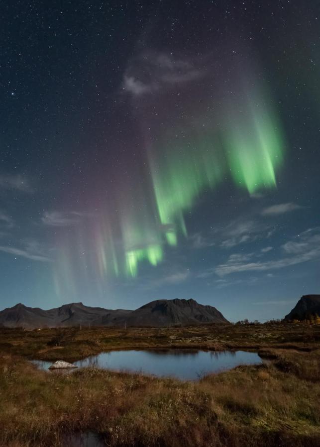 Lyngvaer Luggombu Villa Kleppstad Dış mekan fotoğraf
